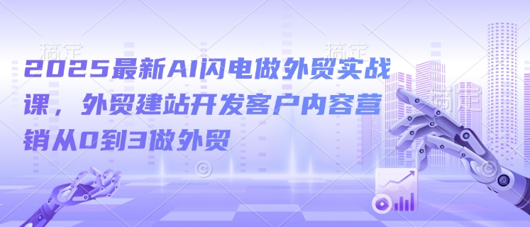 2025最新AI闪电做外贸实战课，外贸建站开发客户内容营销从0到3做外贸_微雨项目网