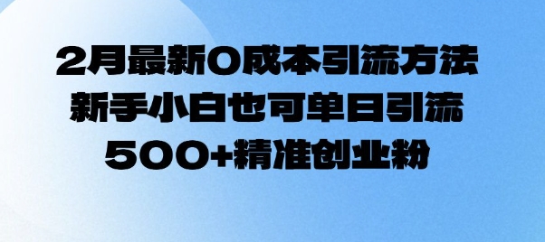 2月最新0成本引流方法，新手小白也可单日引流500+精准创业粉_微雨项目网
