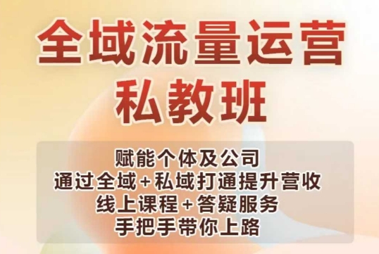 全域流量运营操盘课，赋能个体及公司通过全域+私域打通提升营收_微雨项目网