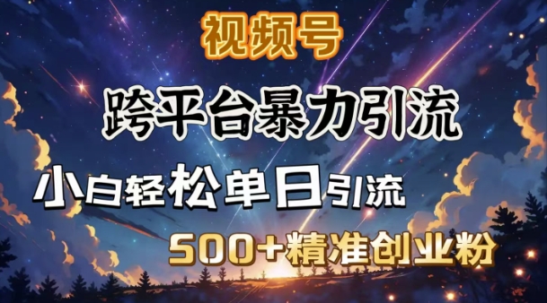 跨平台暴力引流，私域完美闭环，日引500+精准创业粉_微雨项目网