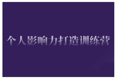 个人影响力打造训练营，掌握公域引流、私域运营、产品定位等核心技能，实现从0到1的个人IP蜕变_微雨项目网