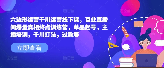 六边形运营千川运营线下课，百业直播间爆量真相终点训练营，单品起号，主播培训，千川打法，过款等_微雨项目网