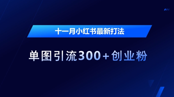 十一月小红书最新打法，单图引流300+创业粉【揭秘】_微雨项目网
