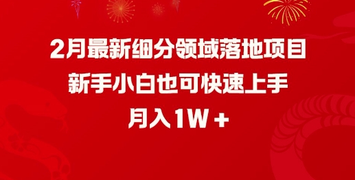 2月最新细分领域落地项目，新手小白也可快速上手，月入1W_微雨项目网