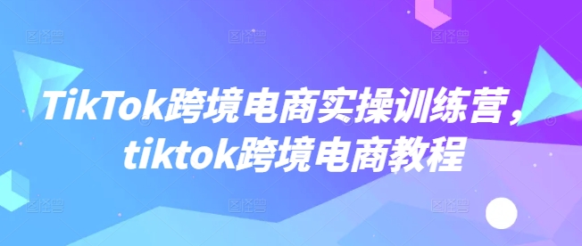 TikTok跨境电商实操训练营，tiktok跨境电商教程_微雨项目网