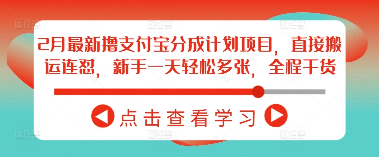 2月最新撸支付宝分成计划项目，直接搬运连怼，新手一天轻松多张，全程干货_微雨项目网