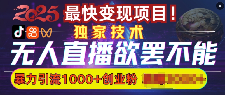 欲罢不能的无人直播引流，超暴力日引流1000+高质量精准创业粉_微雨项目网