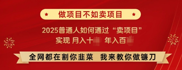 必看，做项目不如卖项目，2025普通人如何通过“卖项目”实现月入十个，年入百个_微雨项目网