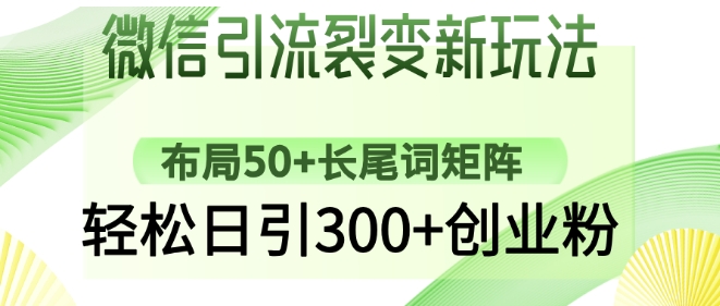 微信引流裂变新玩法：布局50+长尾词矩阵，轻松日引300+创业粉_微雨项目网