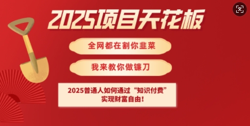 2025项目天花板普通人如何通过知识付费，实现财F自由【揭秘】_微雨项目网