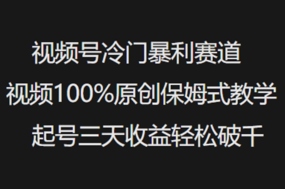 视频号冷门暴利赛道视频100%原创保姆式教学起号三天收益轻松破千_微雨项目网