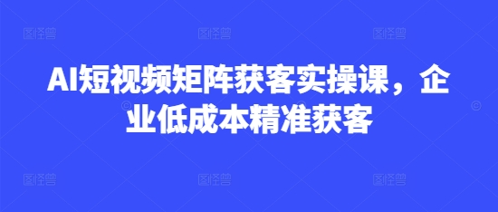 AI短视频矩阵获客实操课，企业低成本精准获客_微雨项目网