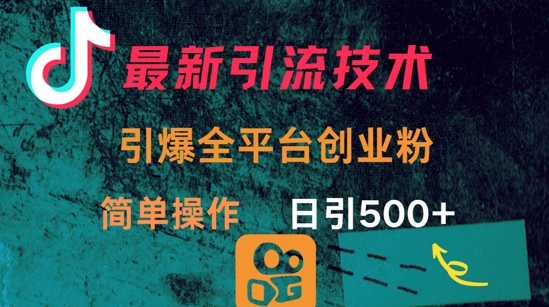 最新引流方法，引爆全平台的一个创业粉，简单操作日引300+_微雨项目网