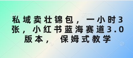 私域卖壮锦包，一小时3张，小红书蓝海赛道3.0版本， 保姆式教学_微雨项目网