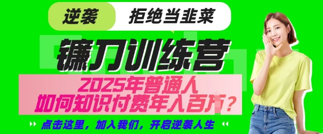 【网创项目终点站-镰刀训练营超级IP合伙人】25年普通人如何通过知识付费实现逆袭【揭秘】_微雨项目网