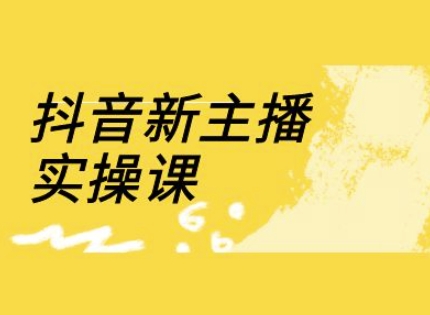 抖音新主播实操课，直播间流量运营线上实操课(18节)_微雨项目网