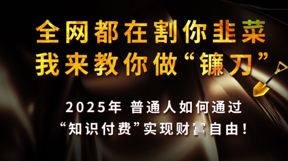 全网都在割你韭菜，我来教你做镰刀，2025普通人如何通过知识付费，实现财F自由【揭秘】_微雨项目网