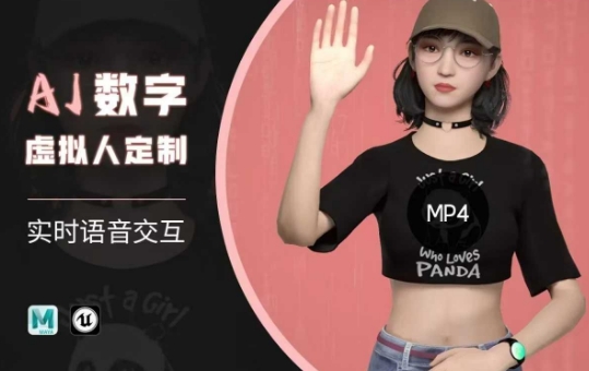 Ai数字人虚拟(智能体)实时语音交互特训营，​自行定制超写实角色AI数字人交互技术_微雨项目网