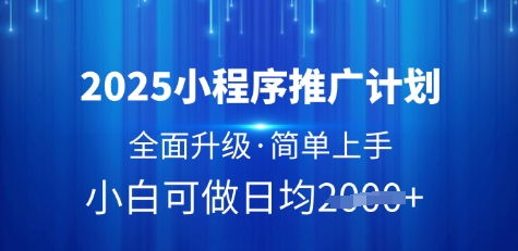 2025小程序推广计划，全面升级，简单上手，日均多张【揭秘】_微雨项目网