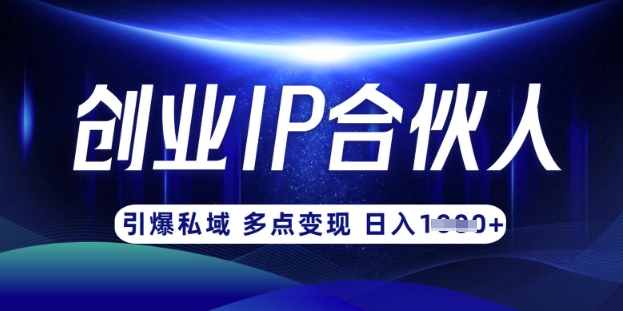 云帆·创业ip合伙人打造3.0，从0到1教你做网创，实现月入过W_微雨项目网