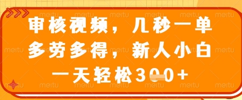 审核视频，几秒一单，多劳多得，新人小白一天轻松3张【揭秘】_微雨项目网