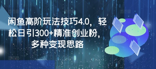 闲鱼高阶玩法技巧4.0，轻松日引300+精准创业粉，多种变现思路_微雨项目网