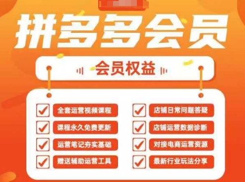 2025拼多多运营实战课，40节全流程教学，覆盖拼多多运营全链路_微雨项目网