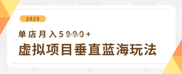 虚拟项目垂直玩法，实现单店月入5k+_微雨项目网