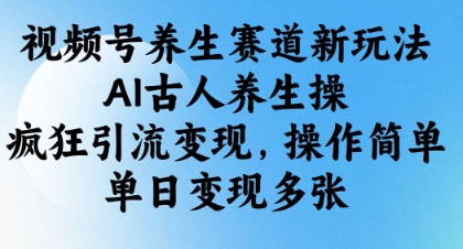 视频号养生赛道新玩法，AI古人养生操，疯狂引流变现，操作简单，单日变现多张_微雨项目网