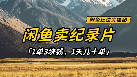闲鱼卖纪录片1单3块钱，1天几十单，项目稳定有潜力_微雨项目网
