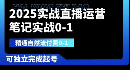 2025实战直播运营0-1，精通自然流付费0-1，可独立完成起号_微雨项目网