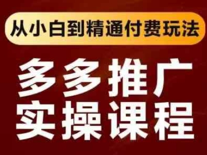 拼多多推广实操课程，从小白到精通付费玩法_微雨项目网