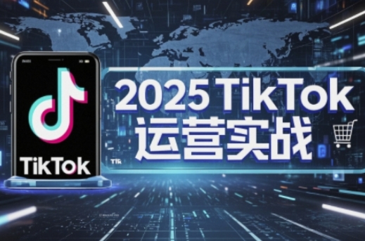 2025TikTok电商运营，掌握TikTok店铺运营核心技巧，实现低成本高转化_微雨项目网
