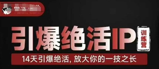 引爆绝活IP训练营，14天引爆绝活，放大你的一技之长_微雨项目网