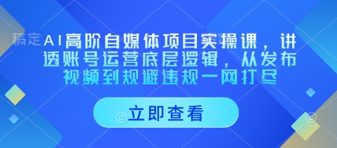AI高阶自媒体项目实操课，讲透账号运营底层逻辑，从发布视频到规避违规一网打尽_微雨项目网
