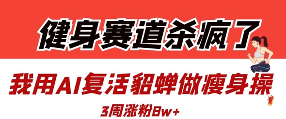 健身赛道杀疯了？我用AI复活貂蝉做瘦身操，3周涨粉8W_微雨项目网