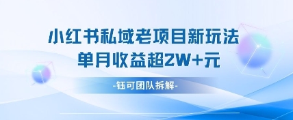 小红书私域项目新玩法，单月变现过W+_微雨项目网