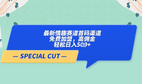 【轻云】最新情趣赛道首码渠道，免费加盟，高佣金，轻松日入5张+_微雨项目网
