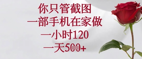 你只管截图，一部手机在家做，苹果安卓都可以，一小时120，一天5张+【揭秘】_微雨项目网