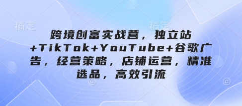 跨境创富实战营，独立站+TikTok+YouTube+谷歌广告，经营策略，店铺运营，精准选品，高效引流_微雨项目网