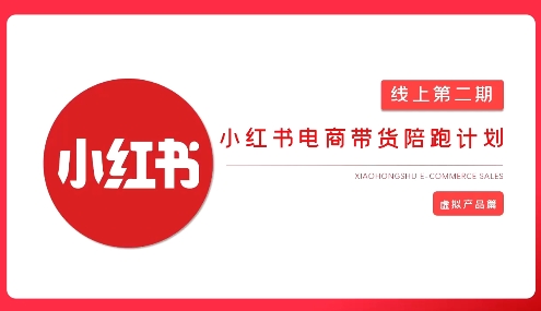 2025小红书虚拟电商实战课，从0到1打造无货源店铺，AI+爆款笔记轻松变现_微雨项目网