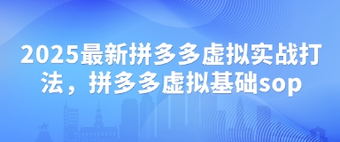 2025最新拼多多虚拟实战打法，拼多多虚拟基础sop_微雨项目网
