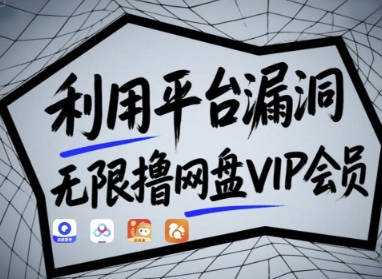 利用平台漏洞，无限撸网盘VIP会员，用户亲测有效!【漏洞原理+操作演示】_微雨项目网