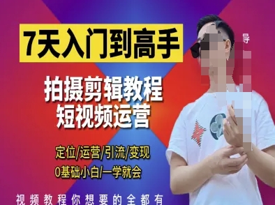 7天入门到高手，短视频剪辑运营高手课，定位 运营 引|流 变现，0基础小白一学就会_微雨项目网