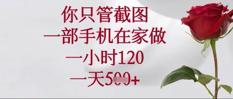 你只管截图，一部手机在家操作，一小时120.一天5张【揭秘】_微雨项目网