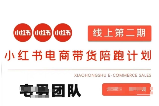 小红书电商带货课2期，月利润20个的小红书电商的有货源，无货源，虚拟产品，付费投流等整套玩法_微雨项目网