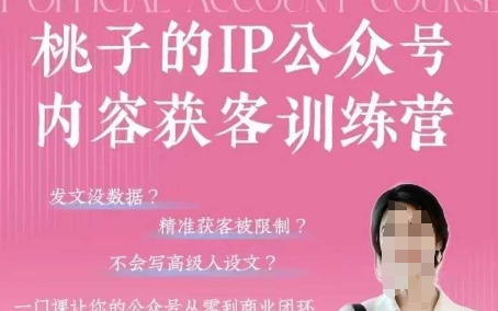 桃子IP公众号内容获客训练营(第3期)，一门让你公众号从0到商业闭环的课程_微雨项目网