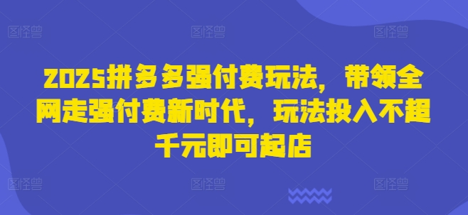 2025拼多多强付费玩法，带领全网走强付费新时代，玩法投入不超千元即可起店_微雨项目网