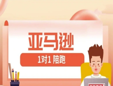 亚马逊1对1陪跑课(FBA/FBM精铺)跨境亚马逊教程_微雨项目网