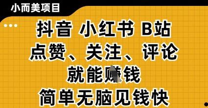 小而美的项目，抖音小红书B站视频点赞、关注、评论就能挣钱，简单无脑立见收益，妥妥的零撸项目【揭秘】_微雨项目网